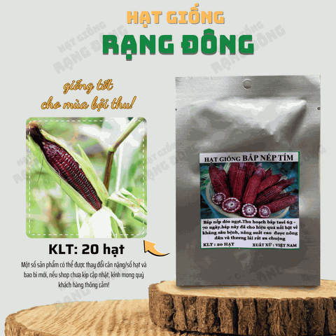 Hạt giống Bắp Nếp Tím Năng Suất Cao