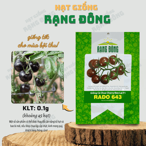 Hạt giống Cà Chua Cherry Đen Lai F1