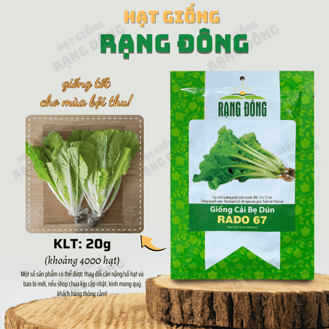 Hạt giống Cải Bẹ Dún