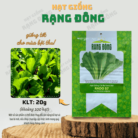 Hạt giống Cải Bẹ Xanh Mỡ Cao Sản