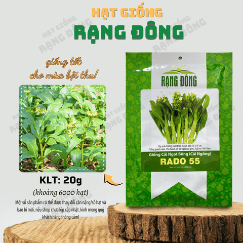 Hạt Giống Cải Ngọt Ăn Bông (Cải Ngồng)