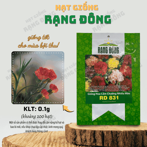 Hạt giống Hoa Cẩm Chướng Kép Nhiều Màu