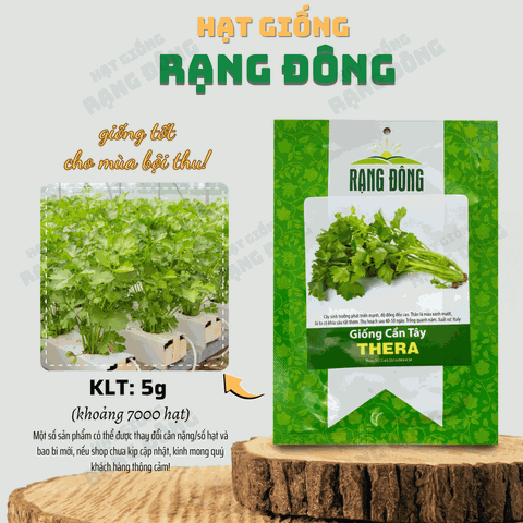 Hạt giống Rau Cần Tây Thera