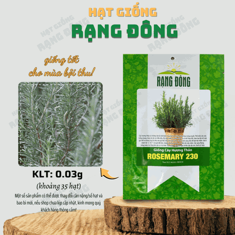 Hạt giống Cây Hương Thảo
