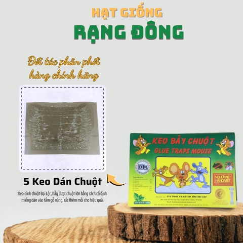 Keo dính chuột - 5 Miếng