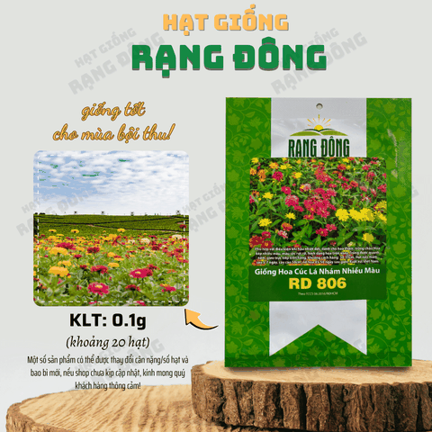 Hạt giống Hoa Cúc Lá Nhám