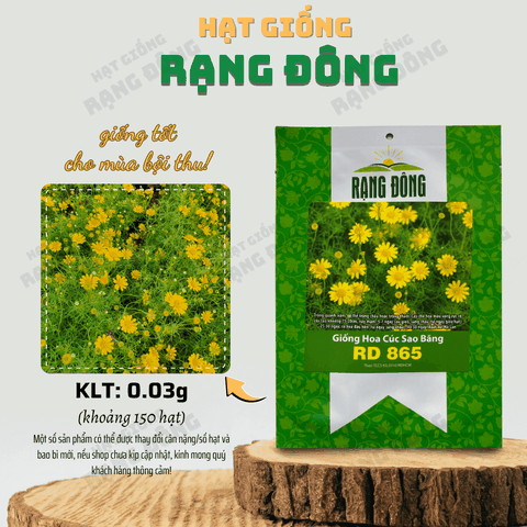 Hạt giống Hoa Cúc Sao Băng