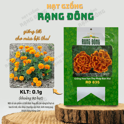 Hạt giống Hoa Vạn Thọ Pháp Ban Mai