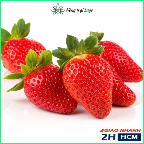 Hạt giống Dâu Tây - gói 100 hạt