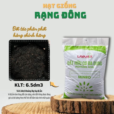Đất Sạch Lavamix 6.5dm