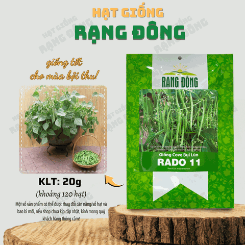 Hạt giống Đậu Cove Bụi Lùn