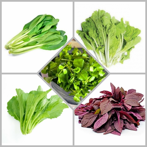 Combo hạt giống CB7