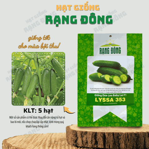 Hạt Giống Dưa Leo Baby Lai F1 Lyssa - Gói 5 hạt
