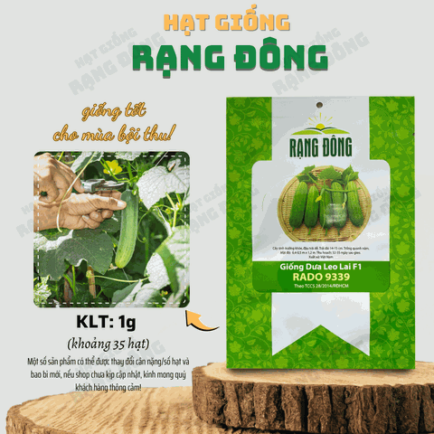 Hạt giống Dưa Leo Lai F1