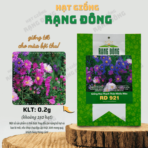 Hạt Giống Hoa Thạch Thảo Nhiều Màu 921