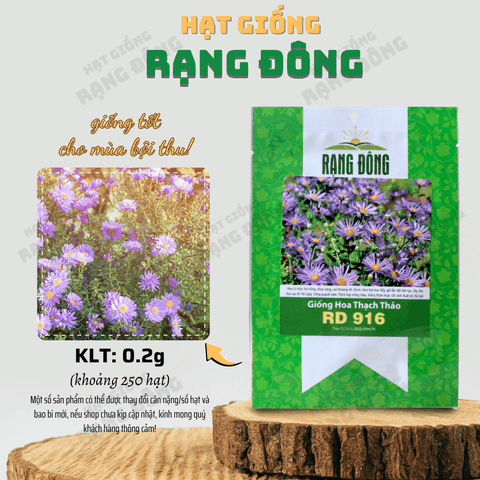 Hạt giống Hoa Thạch Thảo Tím