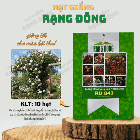 Hạt giống Hoa Hồng Leo Nhiều Màu
