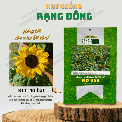 Hạt giống Hoa Hướng Dương Lùn