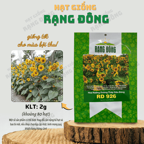 Hạt giống Hoa Hướng Dương Tháp
