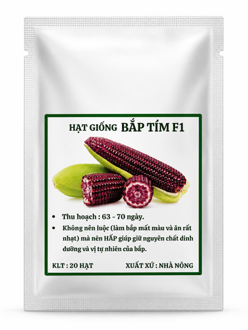 Hạt giống Bắp Nếp Tím Năng Suất Cao