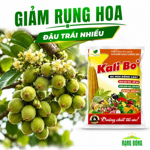 Phân Bón Vi Lượng Siêu Kali Bo (gói 25gr)
