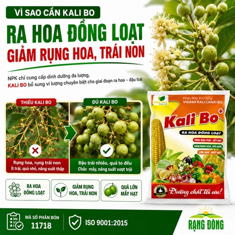 Phân Bón Vi Lượng Siêu Kali Bo (gói 25gr)