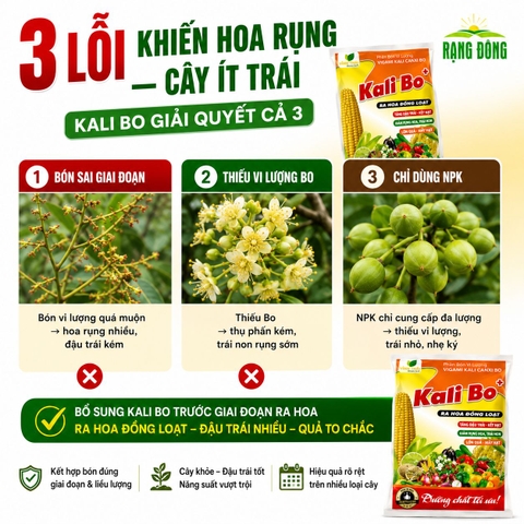 Phân Bón Vi Lượng Siêu Kali Bo (gói 25gr)