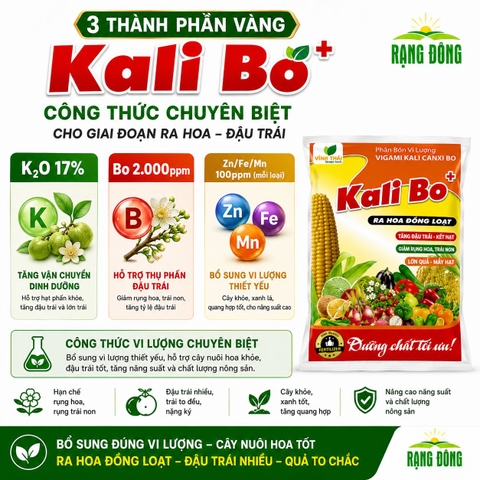 Phân Bón Vi Lượng Siêu Kali Bo (gói 25gr)