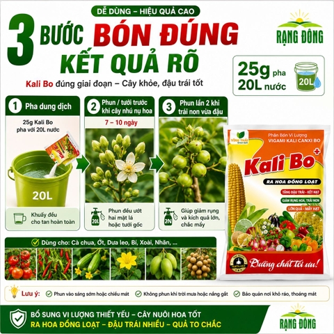 Phân Bón Vi Lượng Siêu Kali Bo (gói 25gr)