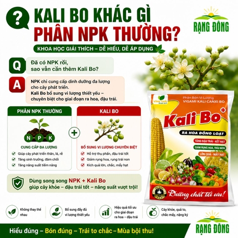 Phân Bón Vi Lượng Siêu Kali Bo (gói 25gr)