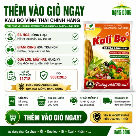 Phân Bón Vi Lượng Siêu Kali Bo (gói 25gr)