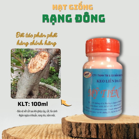 Keo Liền Da Cây Mỹ Tiến (Keo Liền Sẹo) 100gr