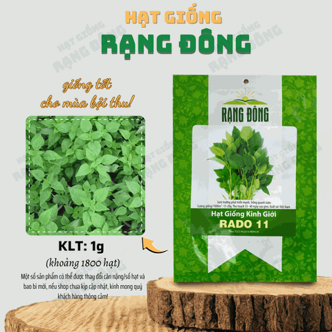 Hạt giống Rau Kinh Giới
