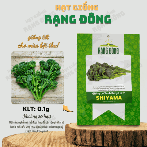 Hạt giống Lơ xanh baby SHIYAMA