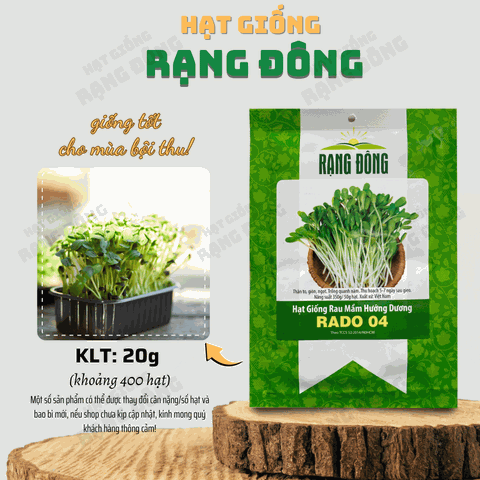Hạt giống Mầm hướng dương Rado 04 (gói 20gr) - Thương hiệu Rạng Đông