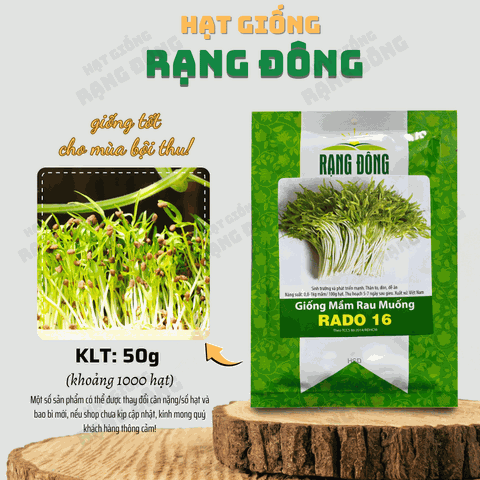 Hạt giống Rau Mầm Rau Muống