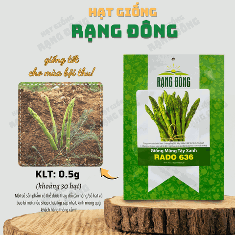 Hạt giống Măng Tây Xanh