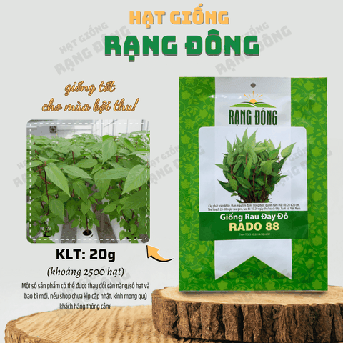 Hạt giống Rau Đay Đỏ