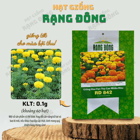 Hạt giống Hoa Cúc Vạn Thọ Thân Cao 842