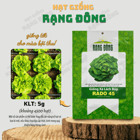 Hạt giống Xà Lách Búp Mỡ (Xà Lách Đăm) - Gói 5 Gram