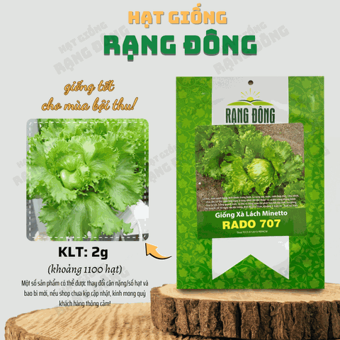 Hạt giống Xà Lách Mỹ Minetto