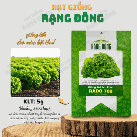 Hạt giống Xà Lách Xoăn Xanh