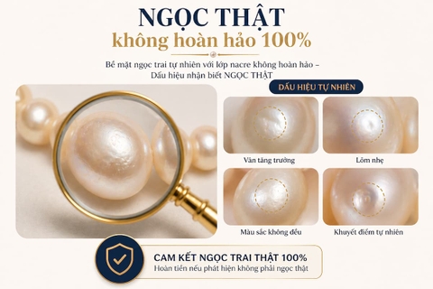 Vòng Cổ Ngọc Trai Choker Phối Hạt Bạc VCNT188 – Nhỏ Gọn, Bắt Sáng Tinh Tế, Không Bị “Dừ”