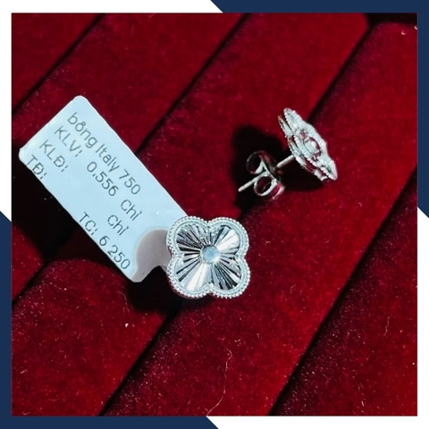 Bông tai cỏ 4 lá vàng trắng 18k, bông tai vàng ý 750 trẻ trung cho nữ mã 556B4420