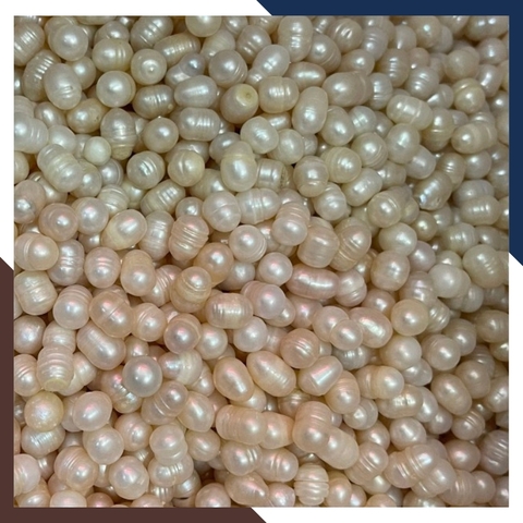 Ngọc trai thô chưa khoan lỗ làm trang sức mã AC3200, bán Sỉ toàn quốc