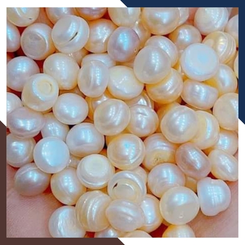 Ngọc trai thô chưa khoan lỗ làm cốt thất bảo đặt bát hương, yểm tượng, làm bột ngọc trai mã AC1250 - bán Sỉ toàn quốc