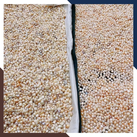 Ngọc trai thô chưa khoan lỗ làm cốt thất bảo đặt bát hương, yểm tượng, làm bột ngọc trai mã AC1250 - bán Sỉ toàn quốc