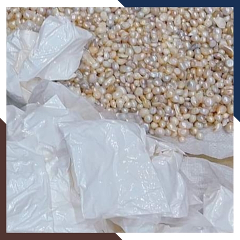 Ngọc trai thô chưa khoan lỗ làm cốt thất bảo đặt bát hương, yểm tượng, làm bột ngọc trai mã AC1250 - bán Sỉ toàn quốc