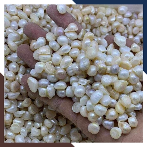 Ngọc trai thô chưa khoan lỗ làm cốt thất bảo đặt bát hương, yểm tượng, làm bột ngọc trai mã AC1250 - bán Sỉ toàn quốc