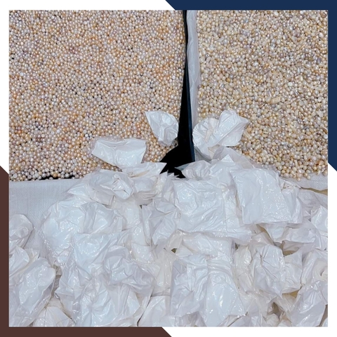 Ngọc trai thô chưa khoan lỗ làm cốt thất bảo đặt bát hương, yểm tượng, làm bột ngọc trai mã AC1250 - bán Sỉ toàn quốc